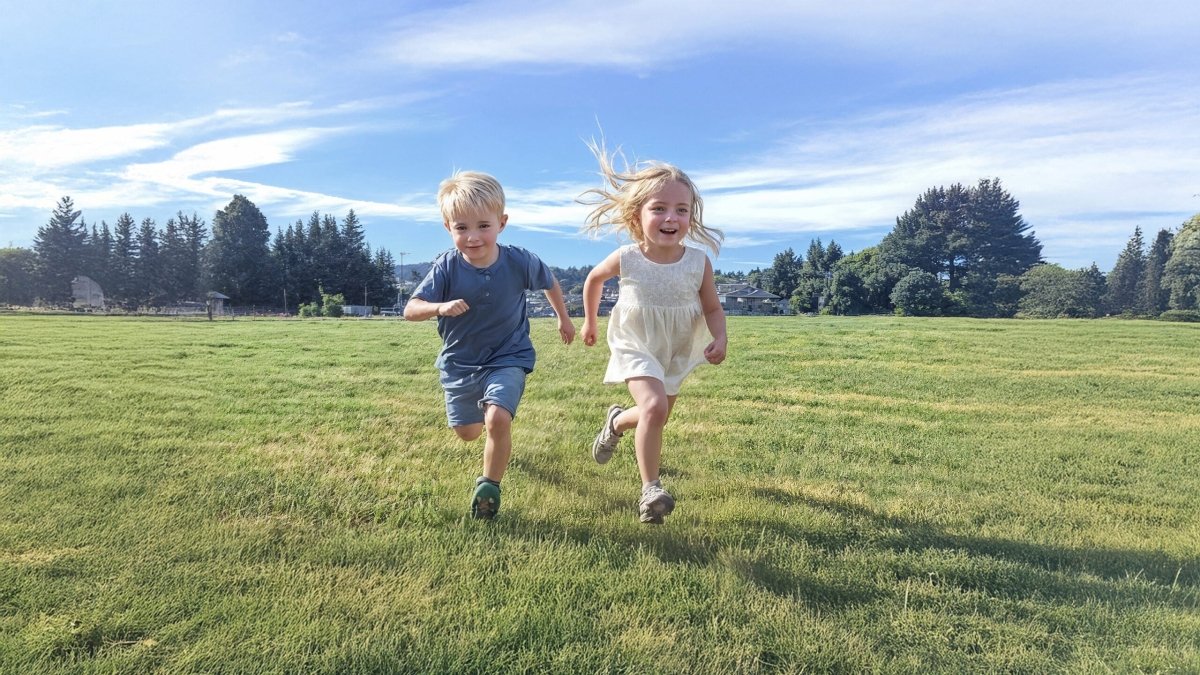 Insta360 Flow 2 Pro Standard Bundle Summit White - TeqClub.com