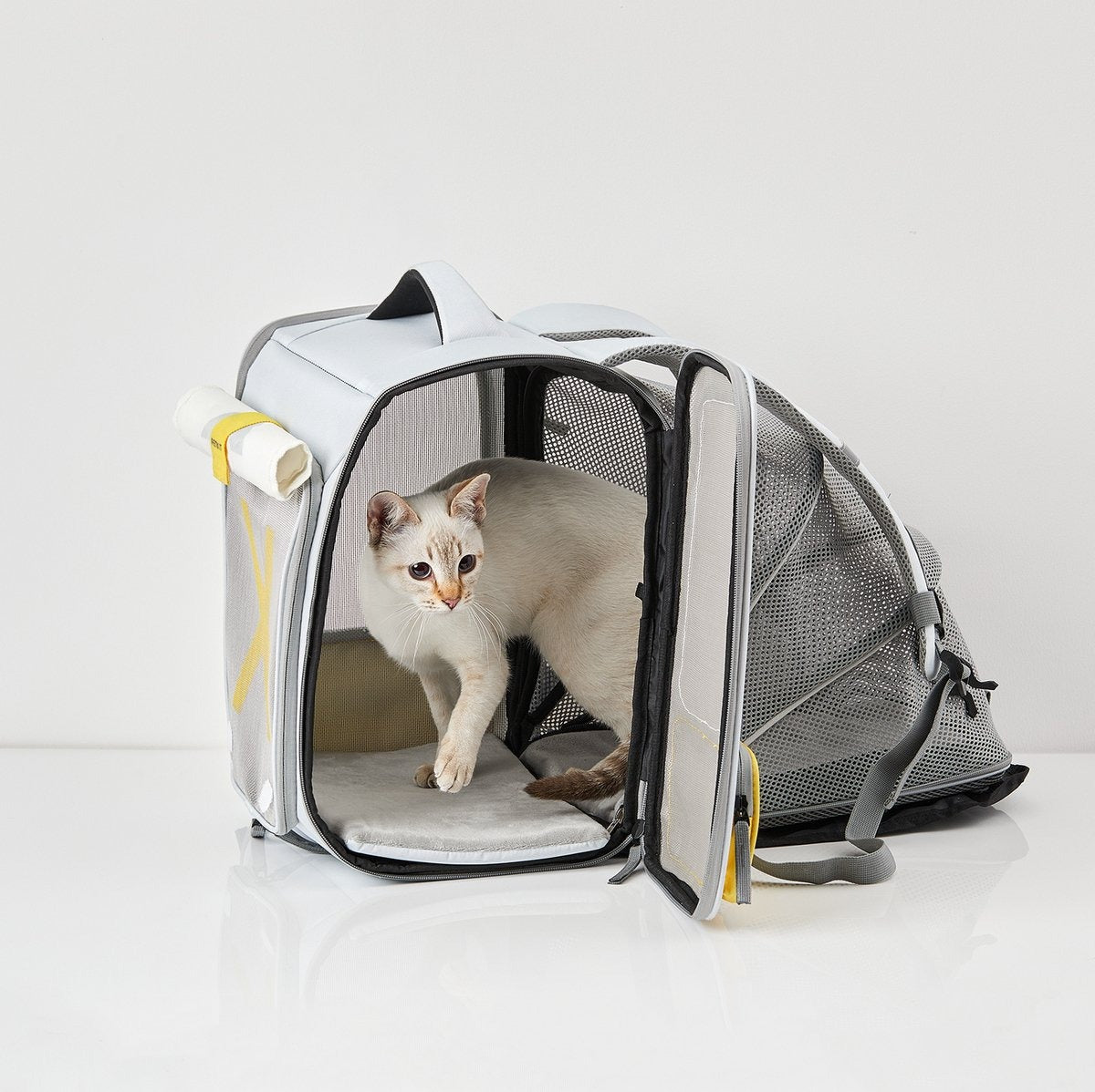 Petkit - Breezy2 Smart Cat Carrier - grey & Petkit - Go Shine - Dog Leashes - TeqClub.com