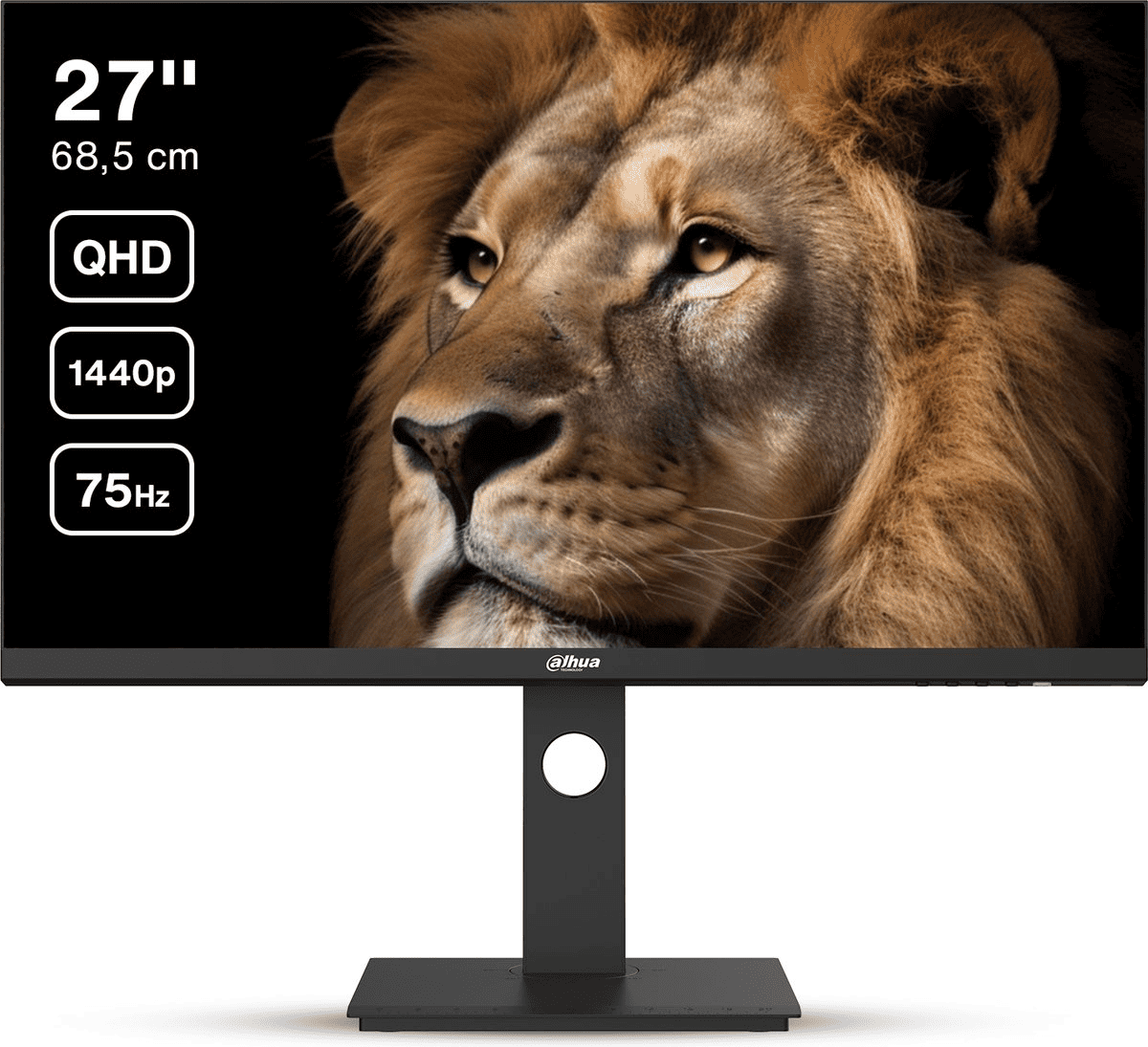 Dahua QHD IPS Monitor - 75Hz - USB - C - 27inch - TeqClub.com