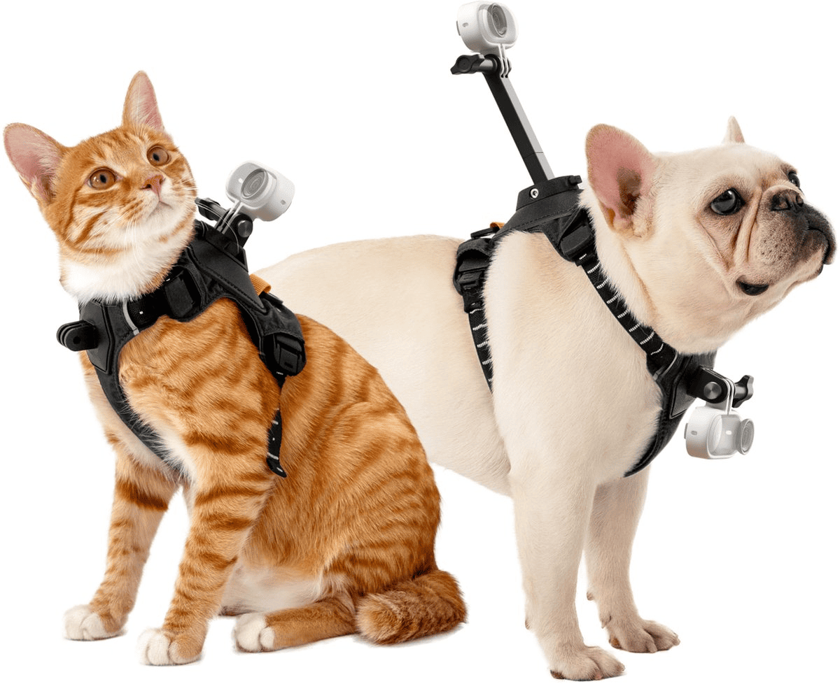 Insta360 Pet Harness Mount Size S - TeqClub.com