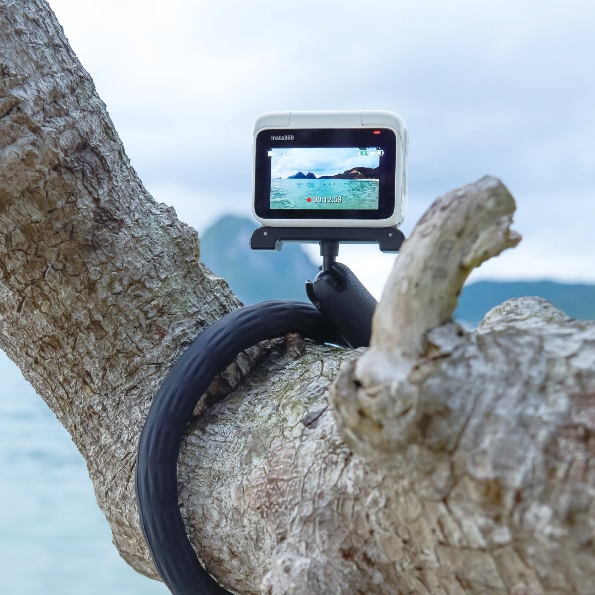 Outlet - Insta Monkey tail mount - TeqClub.com