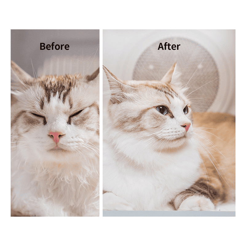 PETKIT AIRSALON Max Smart Pet Dryer - TeqClub.com