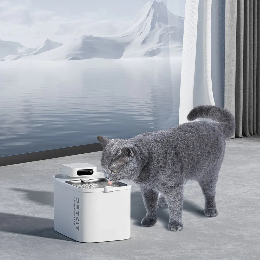PETKIT Eversweet Max Smart Pet Drinking Fountain - TeqClub.com