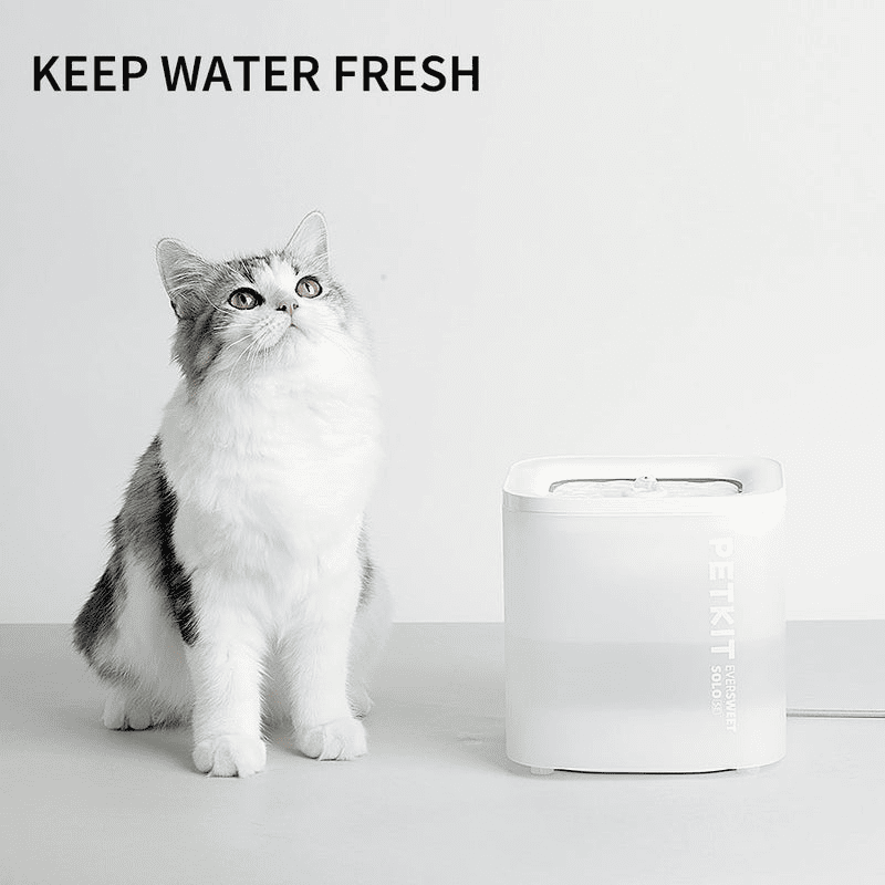 PETKIT Eversweet Solo SE - Grey - TeqClub.com