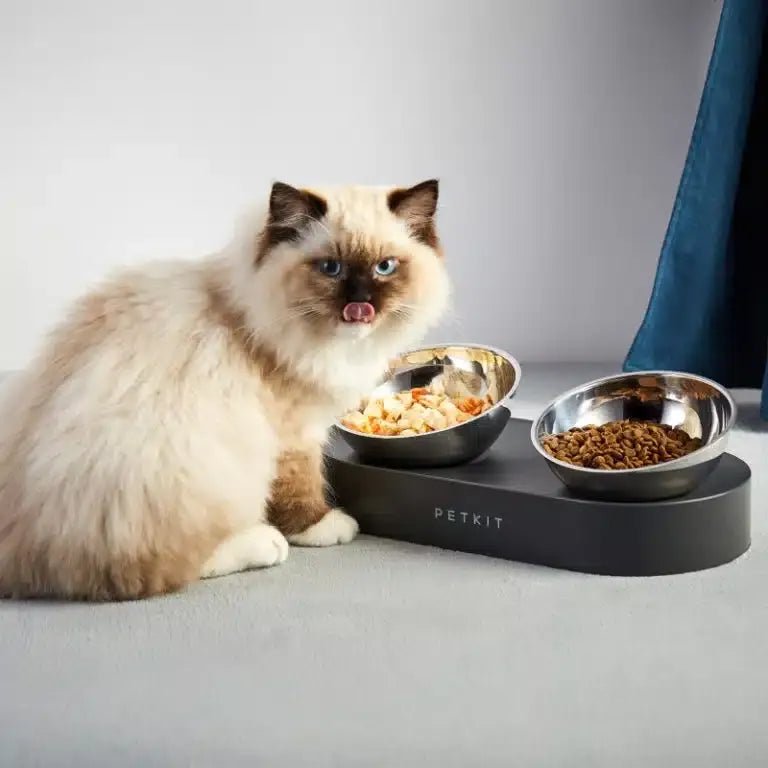 PETKIT Fresh Nano Metal 15° Adjustable Dual Cat Feeding Bowl - TeqClub.com