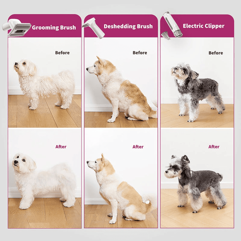 PETKIT Pet Grooming Vacuum Kit - TeqClub.com