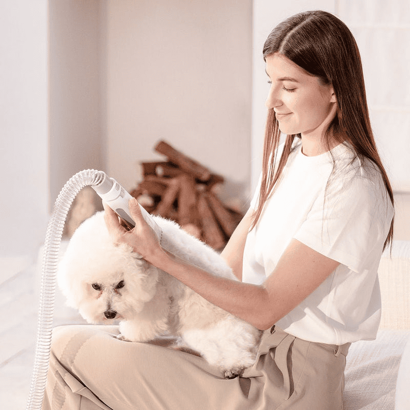 PETKIT Pet Grooming Vacuum Kit - TeqClub.com