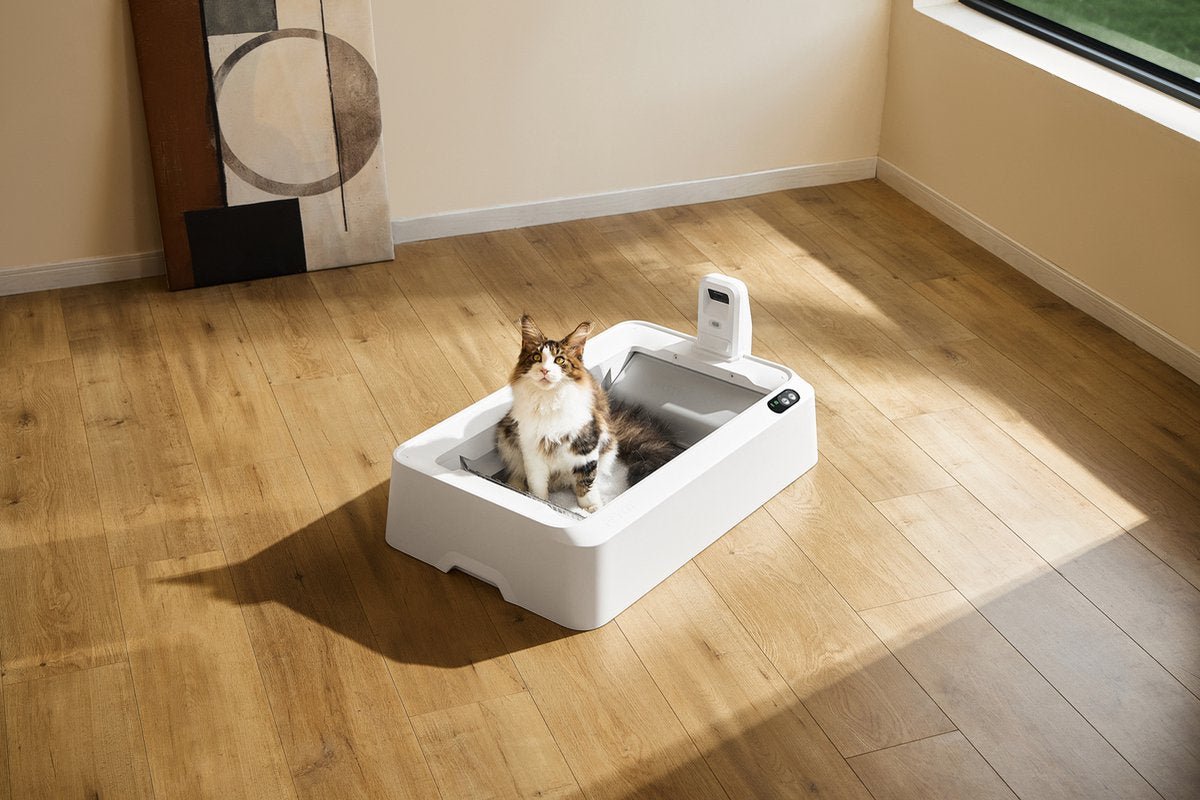 PETKIT Purobot Crystal Duo with Camera Self Cleaning Cat Litter Box