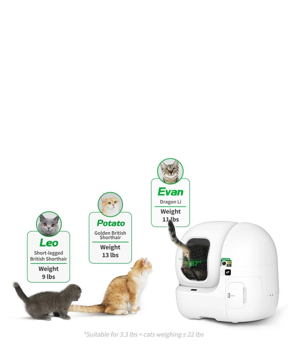PETKIT Purobot Max Pro Cat Litter Box - TeqClub.com