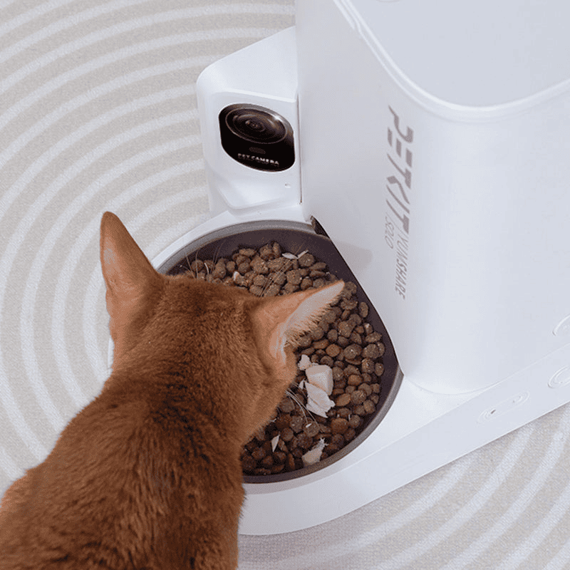 PETKIT YumShare Solo with Camera - TeqClub.com