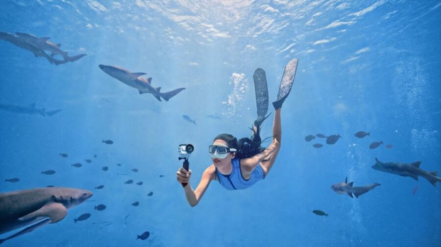 Insta360 GO3 Underwater