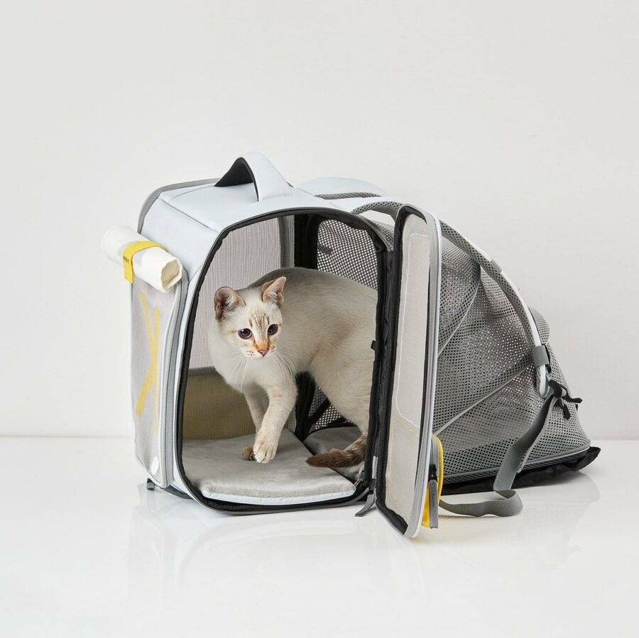 PetKit Breezy xZone Blauw
