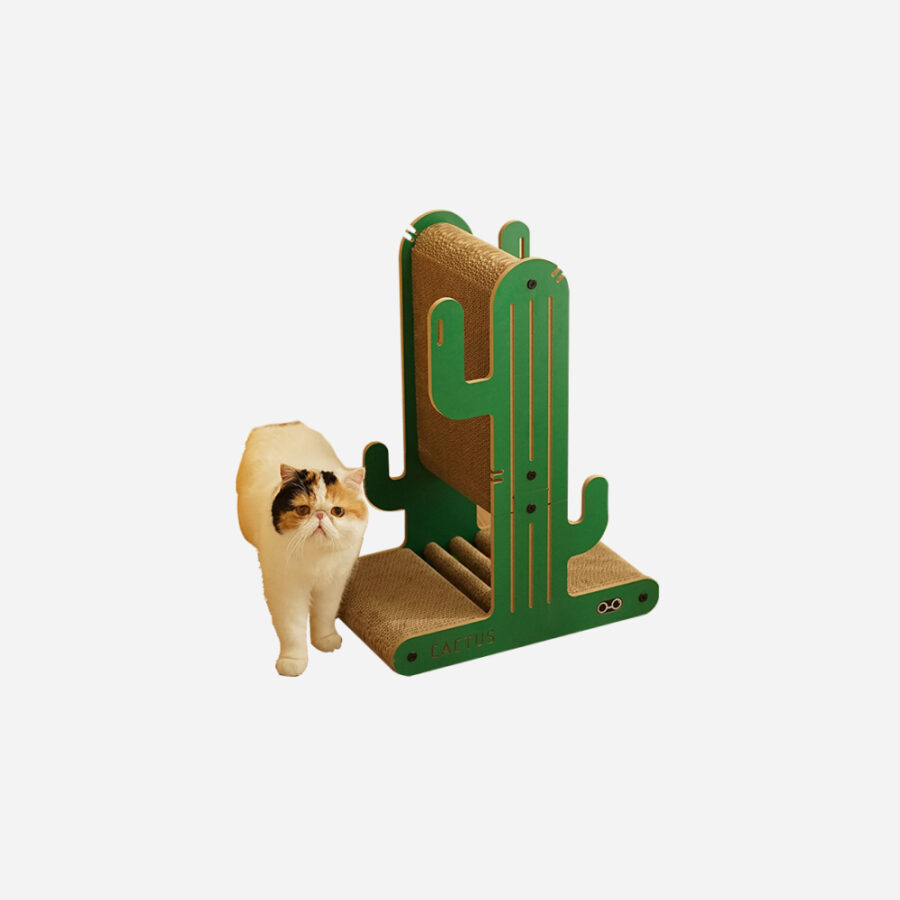 Coneko Urban Oasis - Cactus board- main