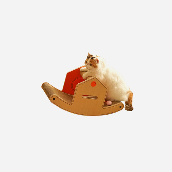 Conekohouse3