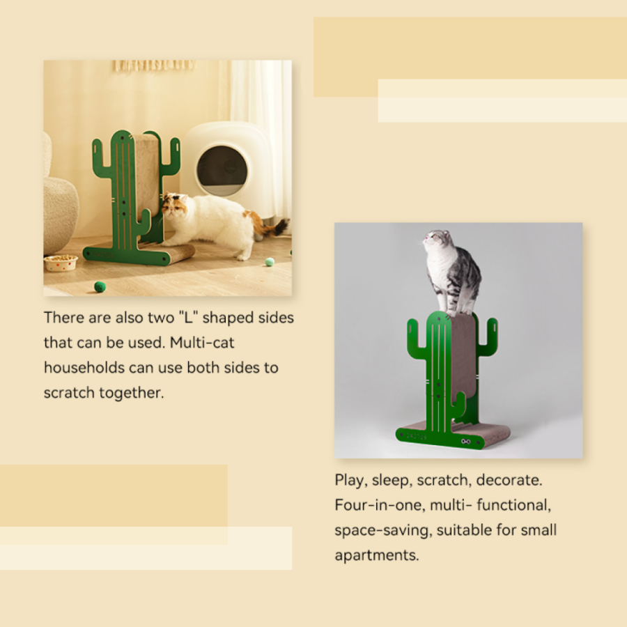 Coneko Urban Oasis - Cactus board- lifestyle3